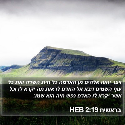 בראשית 2:19 HEB Bible Verse Image
