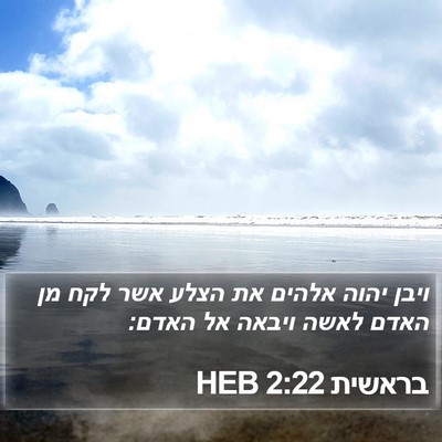 בראשית 2:22 HEB Bible Verse Image