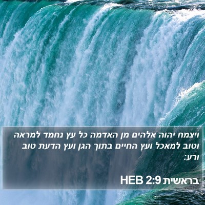 בראשית 2:9 HEB Bible Verse Image