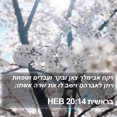 בראשית 20:14 HEB Bible Verse Image
