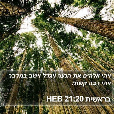בראשית 21:20 HEB Bible Verse Image