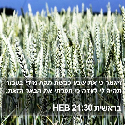 בראשית 21:30 HEB Bible Verse Image