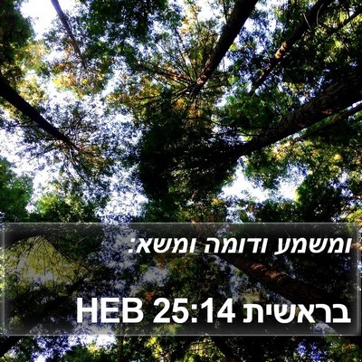 בראשית 25:14 HEB Bible Verse Image