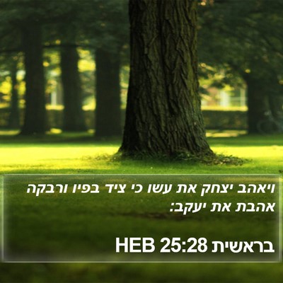 בראשית 25:28 HEB Bible Verse Image