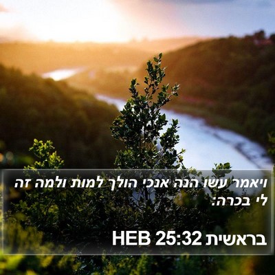בראשית 25:32 HEB Bible Verse Image