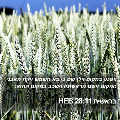 בראשית 28:11 HEB Bible Verse Image