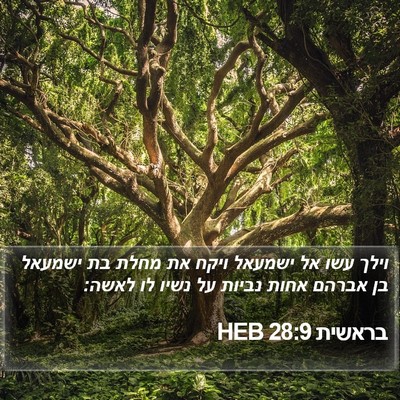 בראשית 28:9 HEB Bible Verse Image