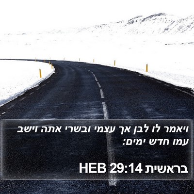 בראשית 29:14 HEB Bible Verse Image