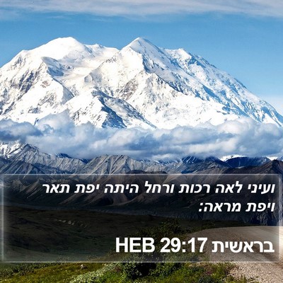 בראשית 29:17 HEB Bible Verse Image