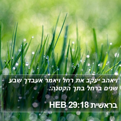 בראשית 29:18 HEB Bible Verse Image