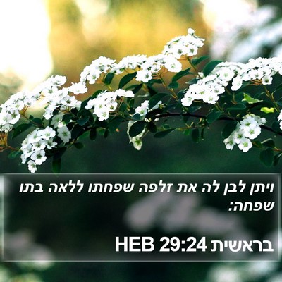 בראשית 29:24 HEB Bible Verse Image