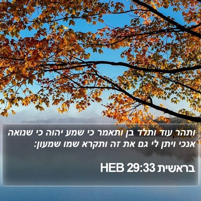 בראשית 29:33 HEB Bible Verse Image