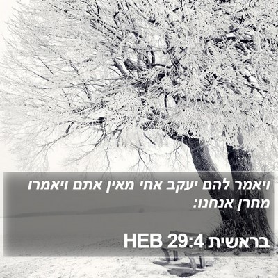 בראשית 29:4 HEB Bible Verse Image