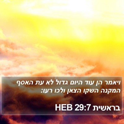 בראשית 29:7 HEB Bible Verse Image