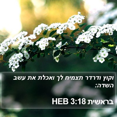 בראשית 3:18 HEB Bible Verse Image