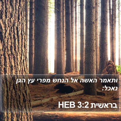 בראשית 3:2 HEB Bible Verse Image