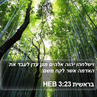 בראשית 3:23 HEB Bible Verse Image