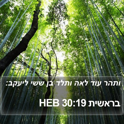 בראשית 30:19 HEB Bible Verse Image