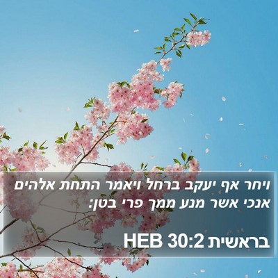בראשית 30:2 HEB Bible Verse Image