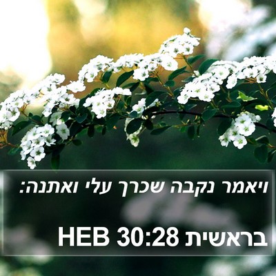 בראשית 30:28 HEB Bible Verse Image