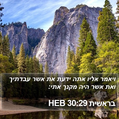 בראשית 30:29 HEB Bible Verse Image