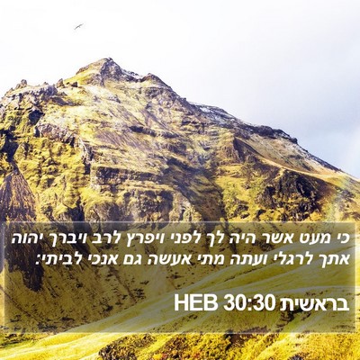 בראשית 30:30 HEB Bible Verse Image