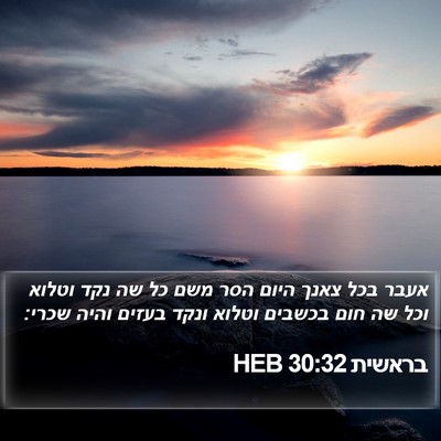 בראשית 30:32 HEB Bible Verse Image