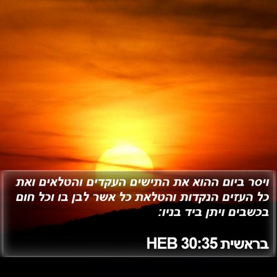 בראשית 30:35 HEB Bible Verse Image