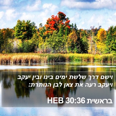 בראשית 30:36 HEB Bible Verse Image