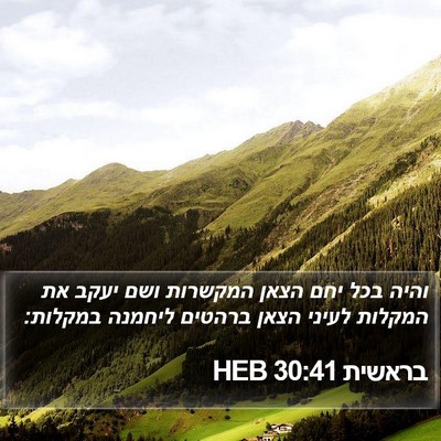 בראשית 30:41 HEB Bible Verse Image