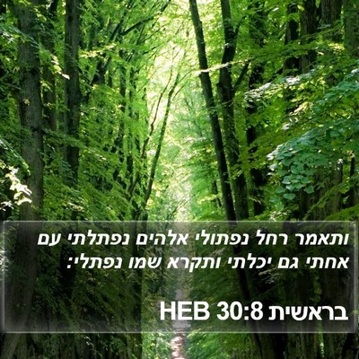 בראשית 30:8 HEB Bible Verse Image