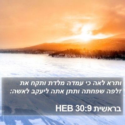 בראשית 30:9 HEB Bible Verse Image