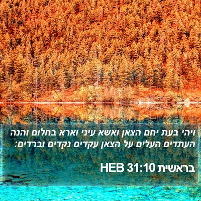 בראשית 31:10 HEB Bible Verse Image