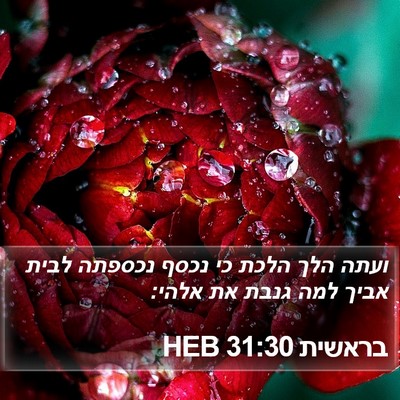 בראשית 31:30 HEB Bible Verse Image