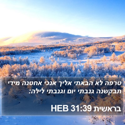 בראשית 31:39 HEB Bible Verse Image