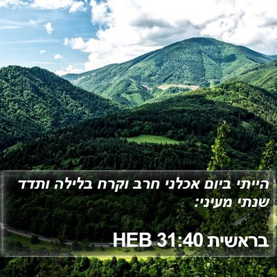 בראשית 31:40 HEB Bible Verse Image