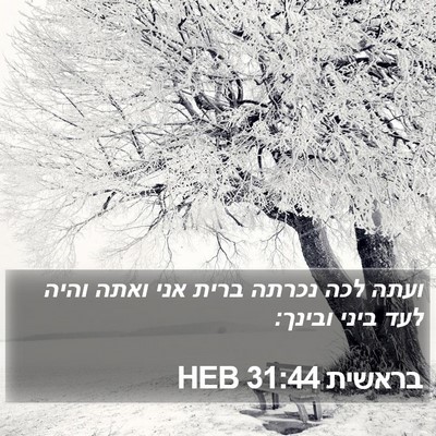 בראשית 31:44 HEB Bible Verse Image