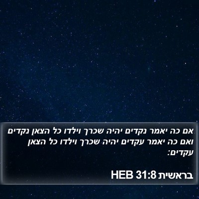 בראשית 31:8 HEB Bible Verse Image