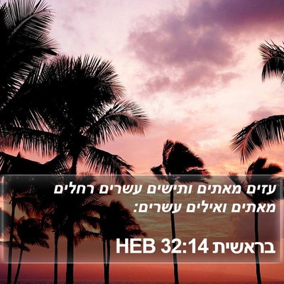 בראשית 32:14 HEB Bible Verse Image