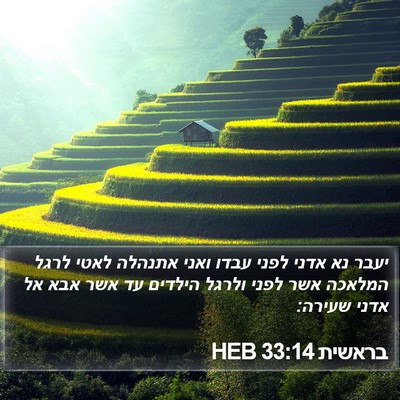 בראשית 33:14 HEB Bible Verse Image