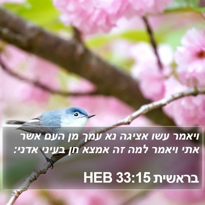 בראשית 33:15 HEB Bible Verse Image