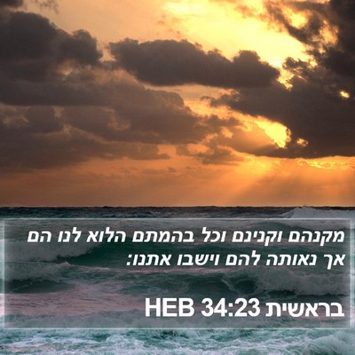 בראשית 34:23 HEB Bible Verse Image