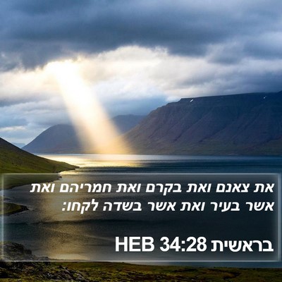 בראשית 34:28 HEB Bible Verse Image