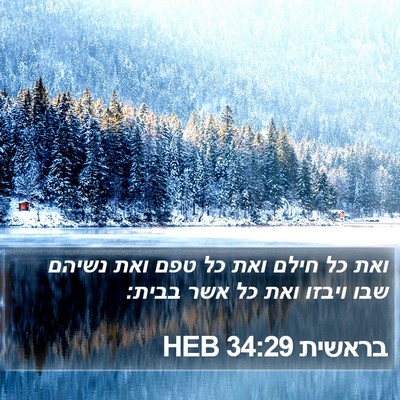 בראשית 34:29 HEB Bible Verse Image
