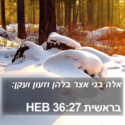 בראשית 36:27 HEB Bible Verse Image
