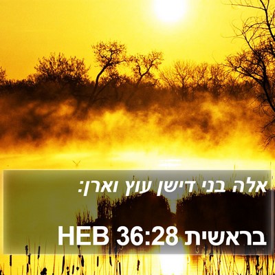 בראשית 36:28 HEB Bible Verse Image