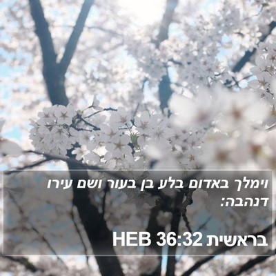 בראשית 36:32 HEB Bible Verse Image