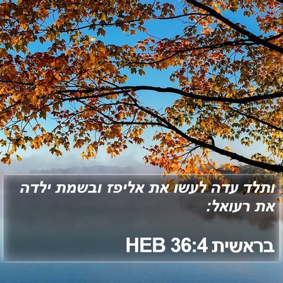 בראשית 36:4 HEB Bible Verse Image