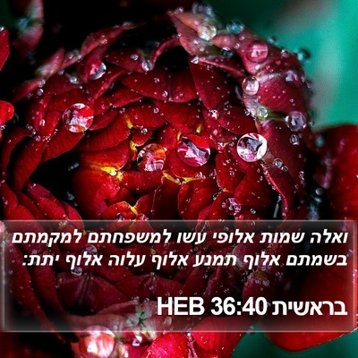 בראשית 36:40 HEB Bible Verse Image