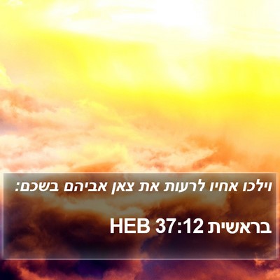 בראשית 37:12 HEB Bible Verse Image